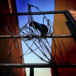 Tangled :: Flip-Flop by Elena Bouvier